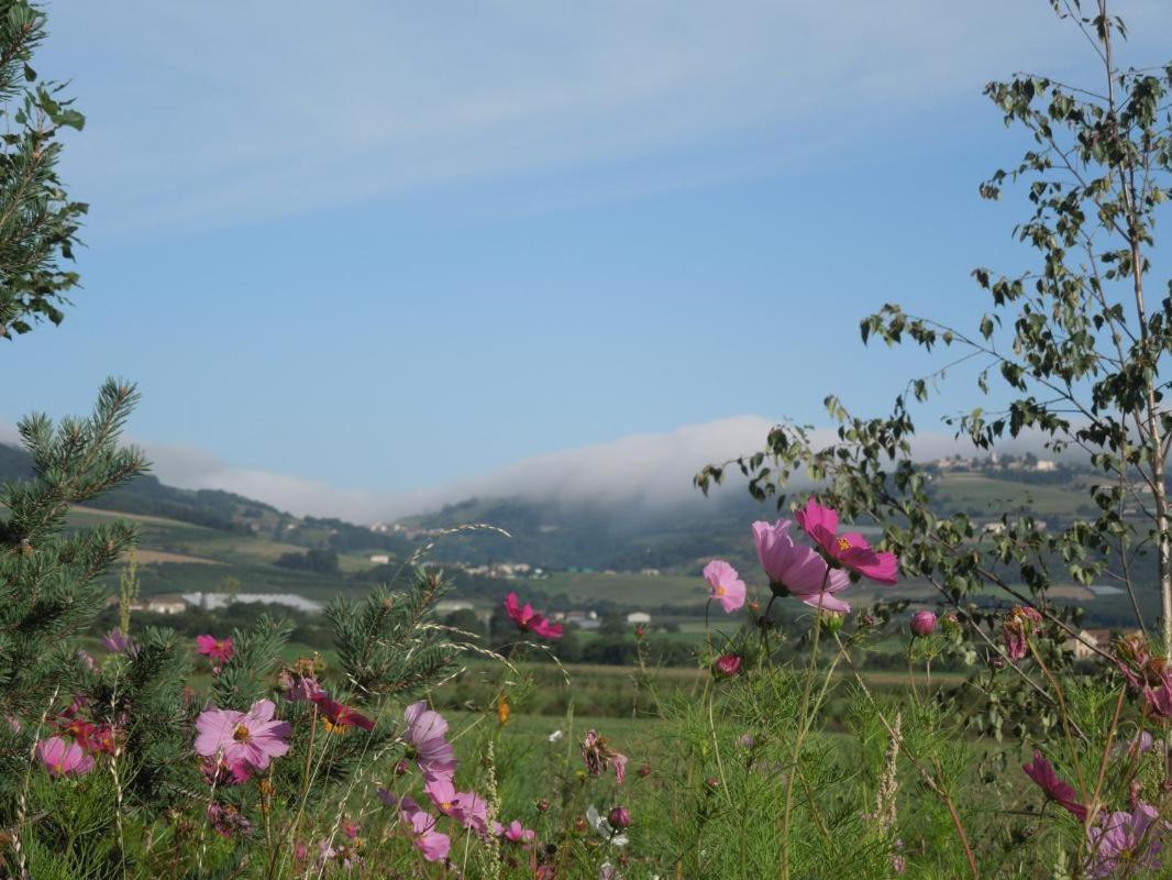 Relais De Navon Bed & Breakfast Saint-Joseph  Bagian luar foto